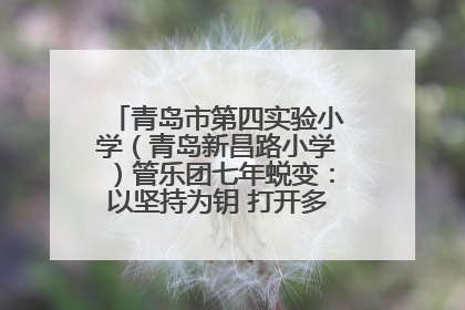 青岛市第四实验小学（青岛新昌路小学）管乐团七年蜕变：以坚持为钥 打开多元成长之门