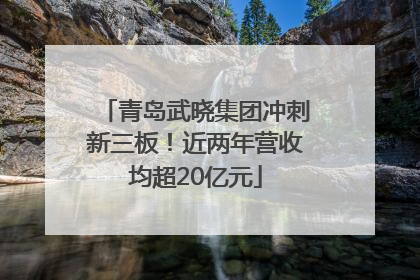 青岛武晓集团冲刺新三板！近两年营收均超20亿元