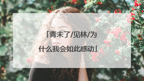 青未了/见林/为什么我会如此感动