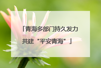 青海多部门持久发力共建“平安青海”