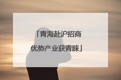 青海赴沪招商 优势产业获青睐