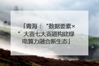 青海：“数据要素×”大赛七大赛题构建绿电算力融合新生态