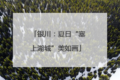 银川：夏日“塞上湖城”美如画