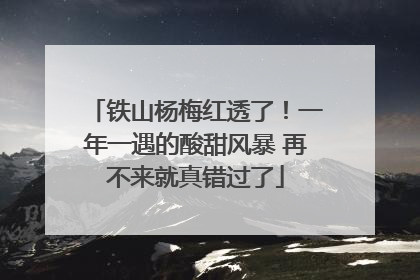 铁山杨梅红透了！一年一遇的酸甜风暴 再不来就真错过了
