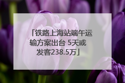 铁路上海站端午运输方案出台 5天或发客238.5万