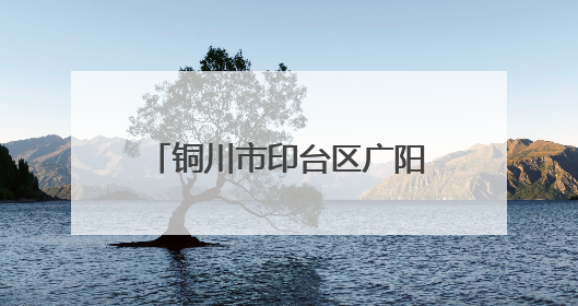 铜川市印台区广阳镇：众志成城战旱情 守护农田保民生