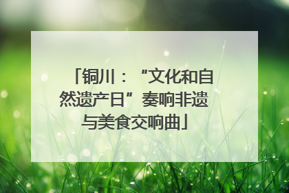 铜川：“文化和自然遗产日”奏响非遗与美食交响曲