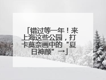 错过等一年！来上海这些公园，打卡莫奈画中的“夏日神颜”→