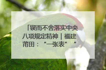 锲而不舍落实中央八项规定精神｜福建莆田：“一张表”“一张图”为基层减轻“数字负担”