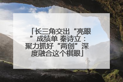 长三角交出“亮眼”成绩单 秦诗立：聚力抓好“两创”深度融合这个棋眼