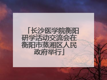 长沙医学院衡阳研学活动交流会在衡阳市蒸湘区人民政府举行