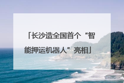 长沙造全国首个“智能押运机器人”亮相