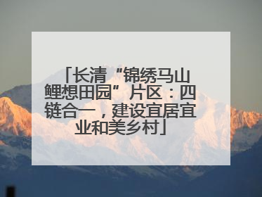 长清“锦绣马山 鲤想田园”片区：四链合一，建设宜居宜业和美乡村