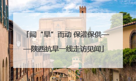 闻“旱”而动 保灌保供——陕西抗旱一线走访见闻
