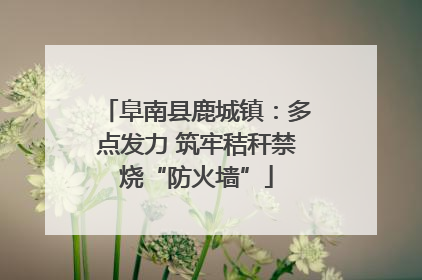 阜南县鹿城镇：多点发力 筑牢秸秆禁烧“防火墙”