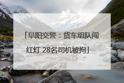 阜阳交警：货车组队闯红灯 28名司机被拘