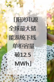 阳光电源全球最大储能系统下线 单柜容量破12.5MWh