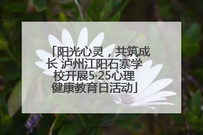 阳光心灵，共筑成长 泸州江阳石寨学校开展5·25心理健康教育日活动
