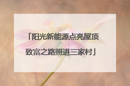阳光新能源点亮屋顶 致富之路照进三家村