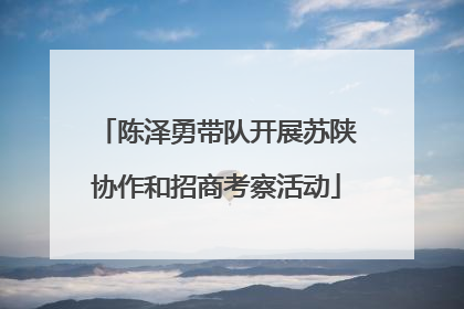 陈泽勇带队开展苏陕协作和招商考察活动