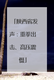 陕西省发声：重拳出击、高压震慑