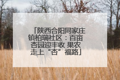 陕西合阳同家庄镇柏瑞社区：百亩杏园迎丰收 果农走上“杏”福路