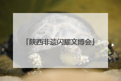 陕西非遗闪耀文博会