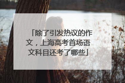 除了引发热议的作文，上海高考首场语文科目还考了哪些