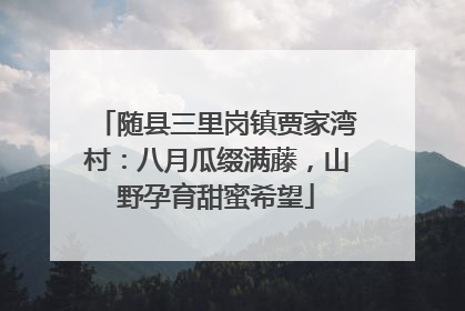 随县三里岗镇贾家湾村：八月瓜缀满藤，山野孕育甜蜜希望
