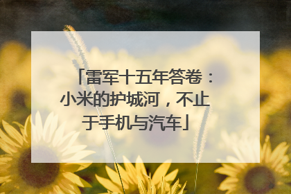雷军十五年答卷：小米的护城河，不止于手机与汽车
