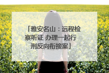 雅安名山：远程检察听证 办理一起行刑反向衔接案