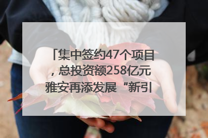 集中签约47个项目，总投资额258亿元 雅安再添发展“新引擎”｜数读西投