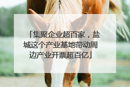 集聚企业超百家，盐城这个产业基地带动周边产业开票超百亿
