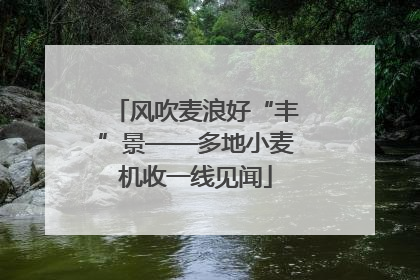 风吹麦浪好“丰”景——多地小麦机收一线见闻