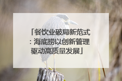 餐饮业破局新范式：海底捞以创新管理驱动高质量发展