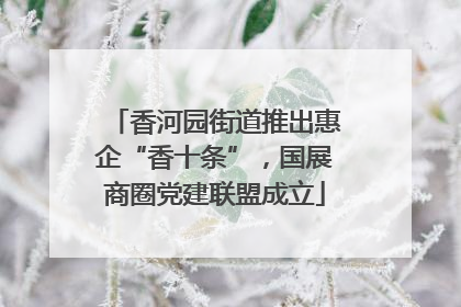 香河园街道推出惠企“香十条”，国展商圈党建联盟成立