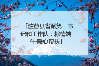驻曹县省派第一书记和工作队：粽情端午·暖心帮扶