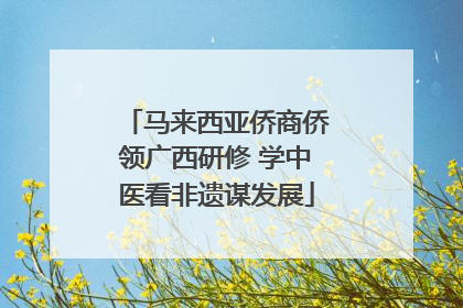 马来西亚侨商侨领广西研修 学中医看非遗谋发展