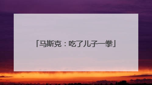 马斯克：吃了儿子一拳