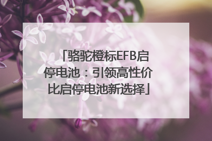 骆驼橙标EFB启停电池：引领高性价比启停电池新选择