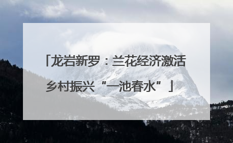 龙岩新罗：兰花经济激活乡村振兴“一池春水”