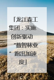 龙江森工集团：实施创新驱动 “数智林业”跑出加速度