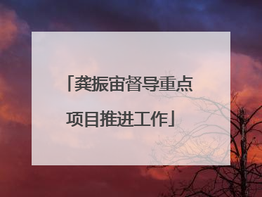 龚振宙督导重点项目推进工作