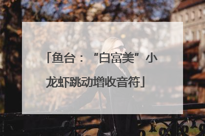 鱼台：“白富美”小龙虾跳动增收音符