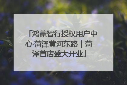 鸿蒙智行授权用户中心·菏泽黄河东路｜菏泽首店盛大开业