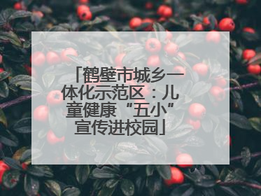 鹤壁市城乡一体化示范区：儿童健康“五小”宣传进校园