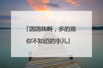 鹮鹮我啊，多的是你不知道的事儿