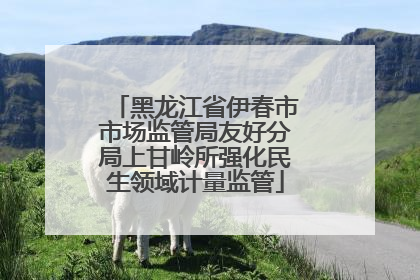 黑龙江省伊春市市场监管局友好分局上甘岭所强化民生领域计量监管