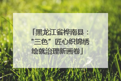 黑龙江省桦南县：“三色”匠心织锦绣 绘就治理新画卷