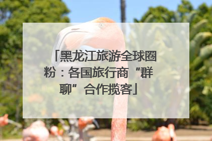 黑龙江旅游全球圈粉：各国旅行商“群聊”合作揽客